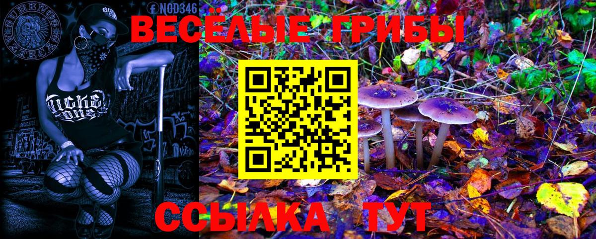 Карпинск  Галлюциногенные грибы Magic Shrooms  Галлюциногенные грибы GOLDEN TEACHER  Вход с VPN 